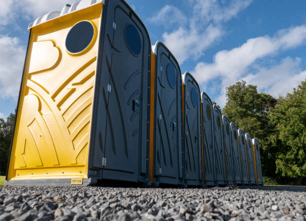 Types of Portable Toilets We Offer in Roanoke, IL